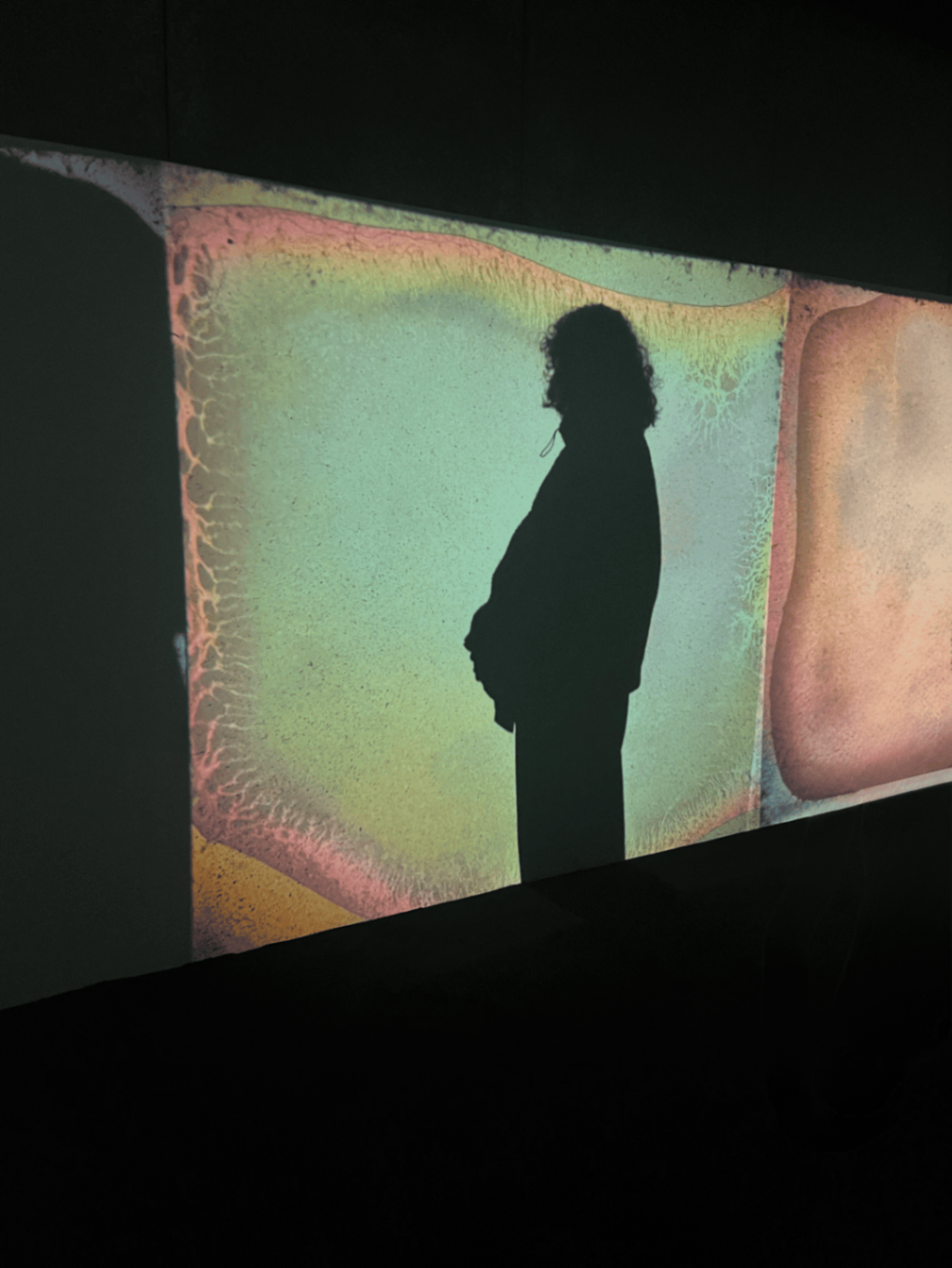 Photo de Manel avec ombre fond vert